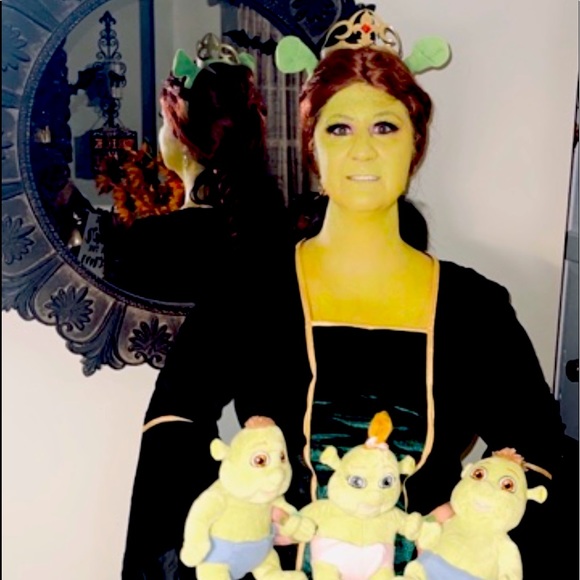 PRINCESS FIONA (2x) (movie Shrek) Curvy FABULOUS HALLOWEEN WON CONTEST COSTUME‼️ - Picture 1 of 12